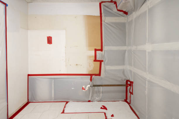 Best Forensic Mold Investigation  in Kremmling, CO