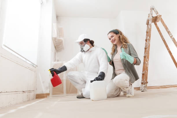 Best Mold Removal for HVAC Installations  in Kremmling, CO