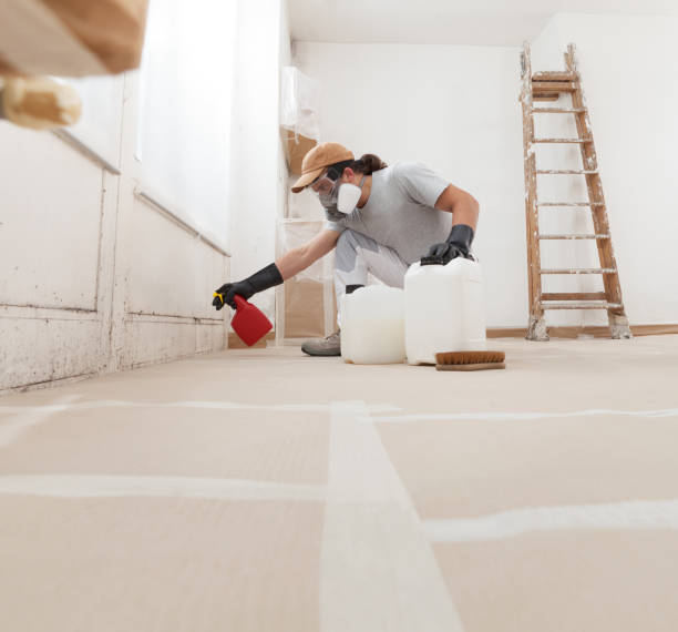 Best Commercial Mold Inspection  in Kremmling, CO
